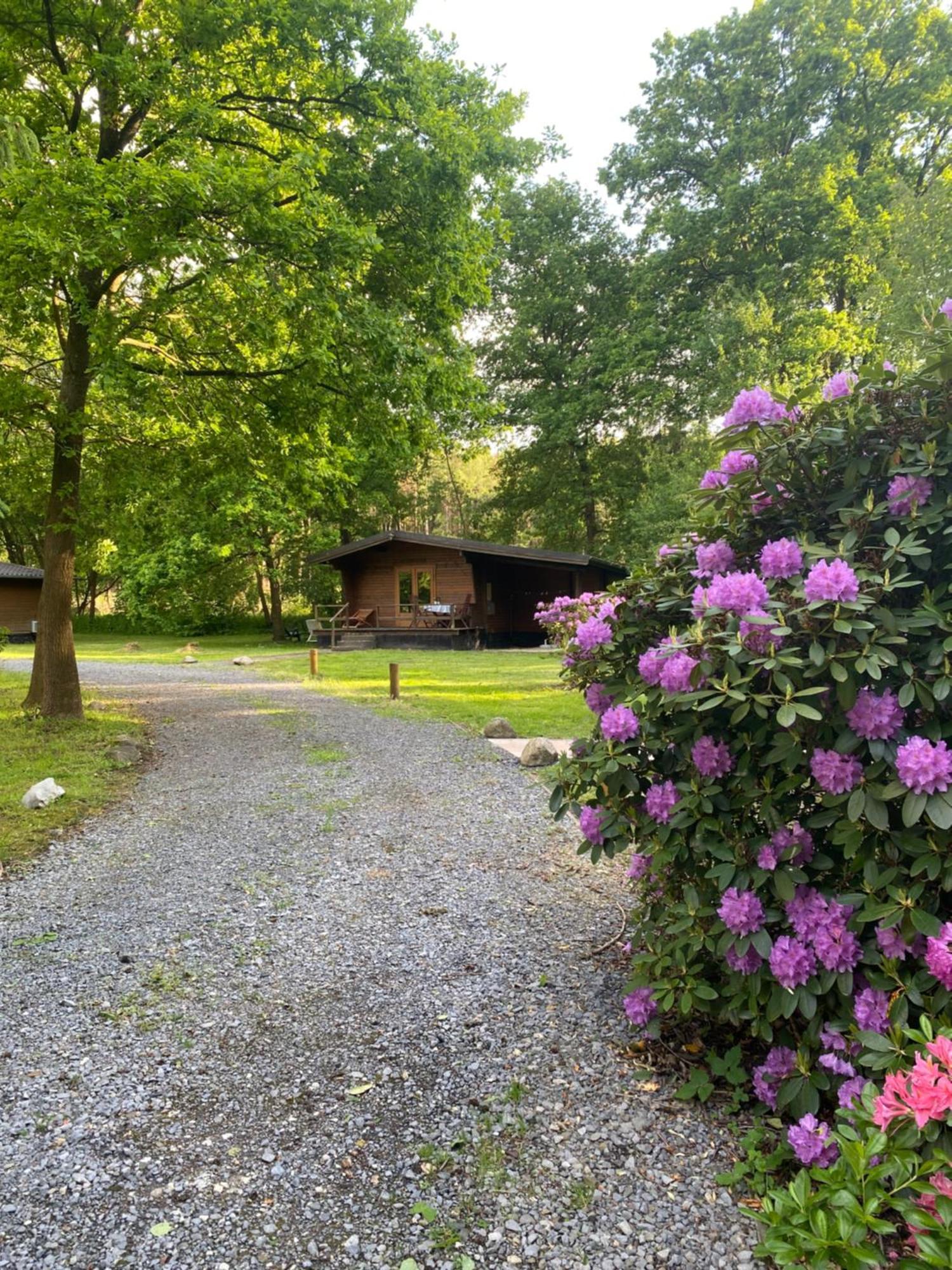 Heidegut Eschede Reitsportanlage Und Feriendorf Exterior photo